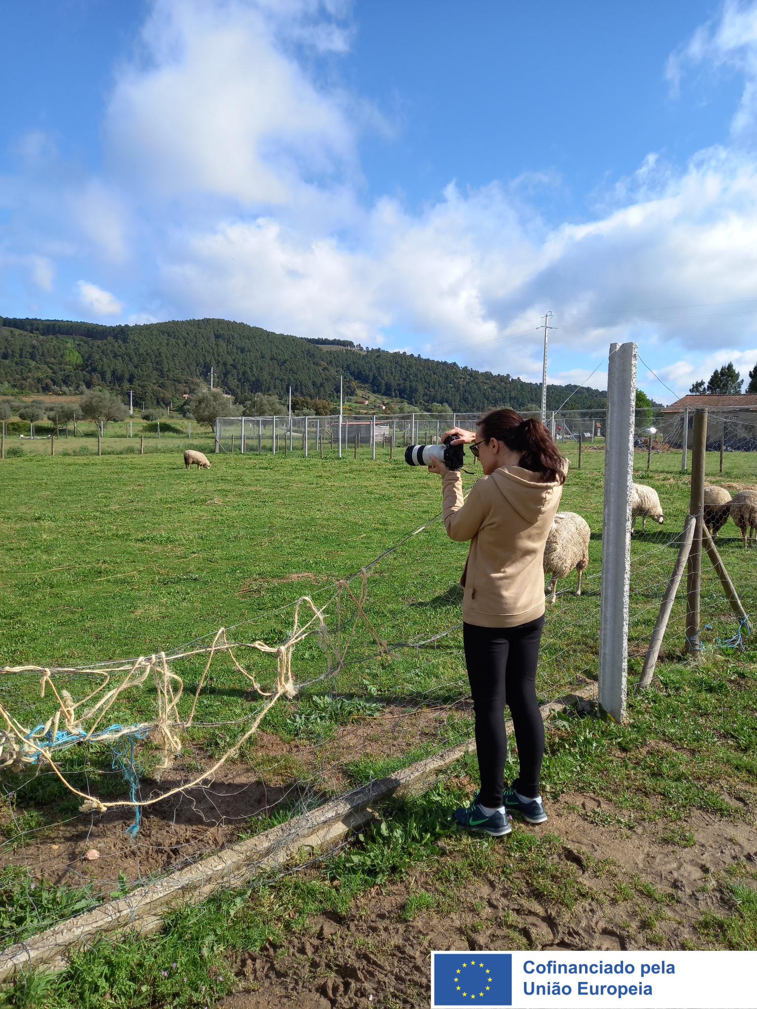 Design sem nome (71)