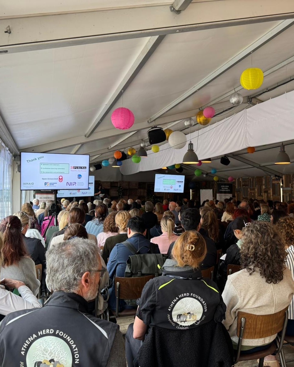 WhatsApp Image 2025-08-25 at 10.40.38 (1)