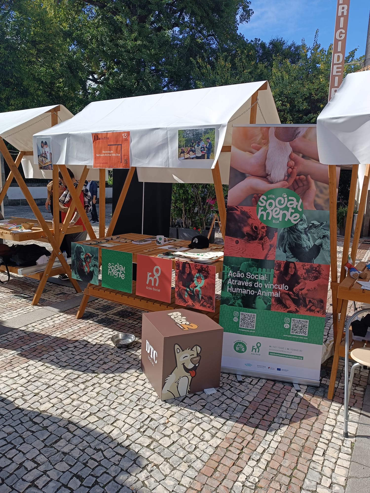 WhatsApp Image 2025-09-13 at 17.56.33