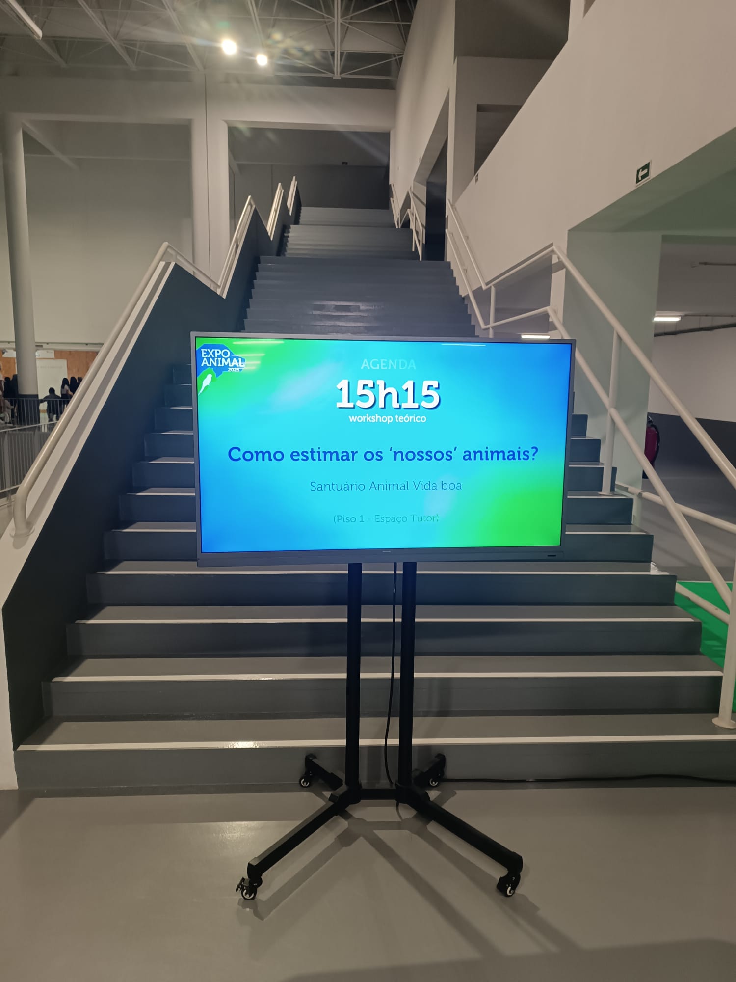 WhatsApp Image 2025-10-05 at 17.33.05 (7)