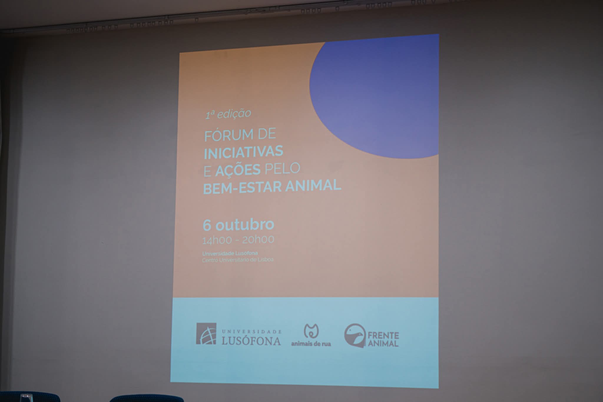 WhatsApp Image 2025-10-06 at 19.53.04 (1)