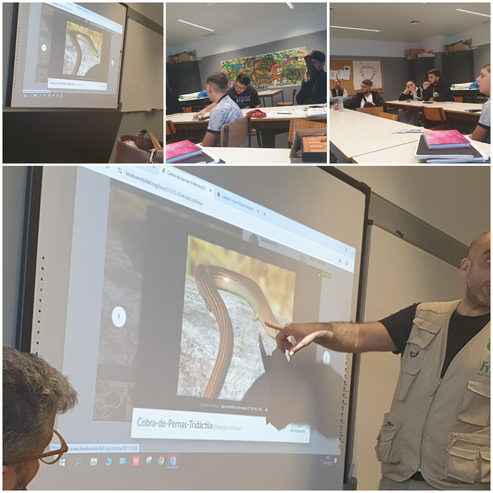 WhatsApp Image 2026-01-05 at 16.14.41 (2)