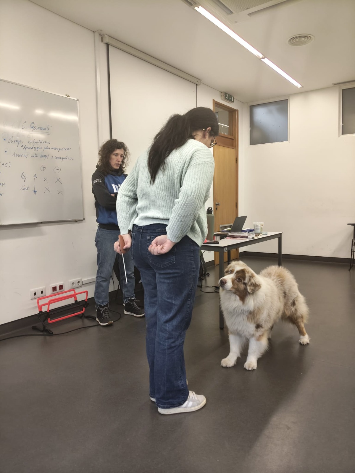 WhatsApp Image 2026-02-02 at 09.56.03 (1)