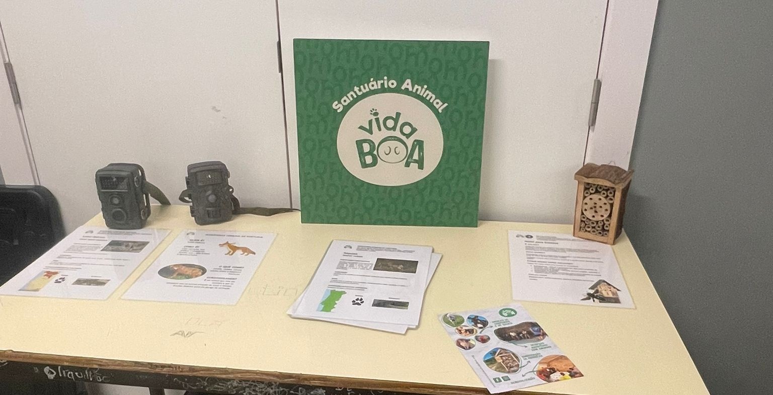 WhatsApp Image 2026-02-06 at 10.15.44