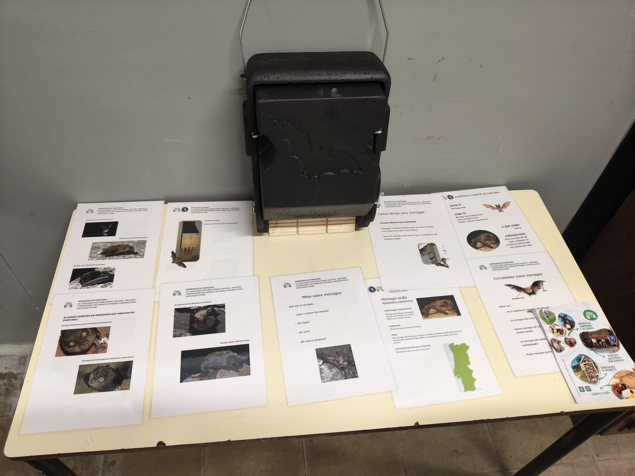 WhatsApp Image 2026-02-06 at 13.15.35