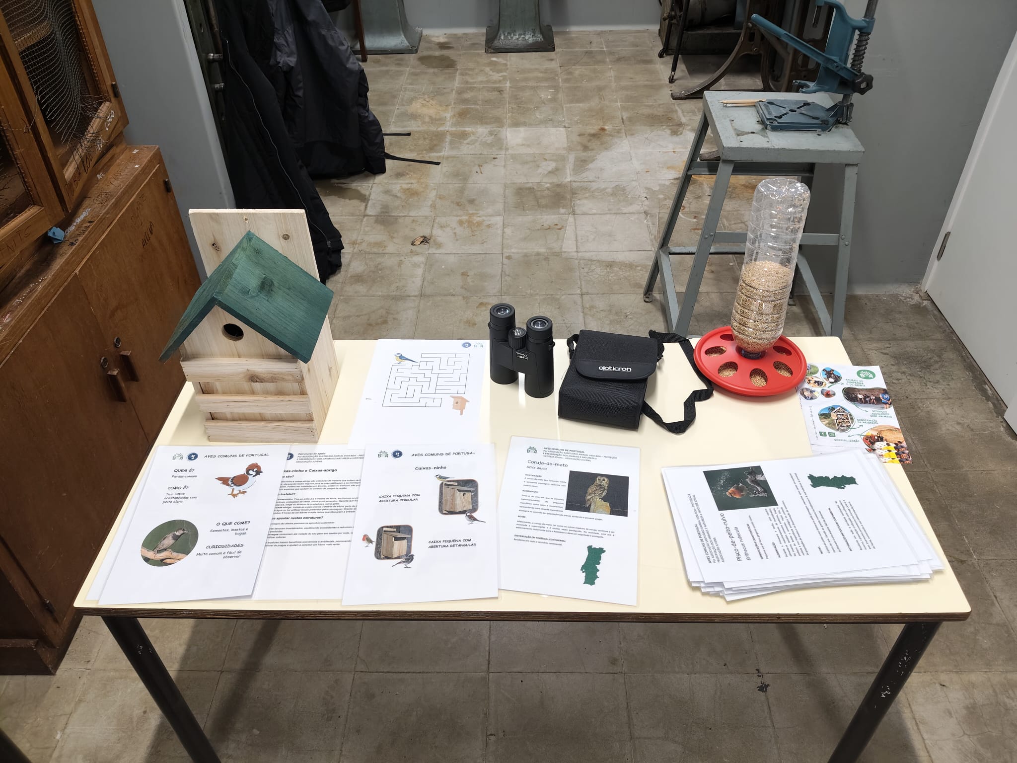 WhatsApp Image 2026-02-06 at 13.16.04