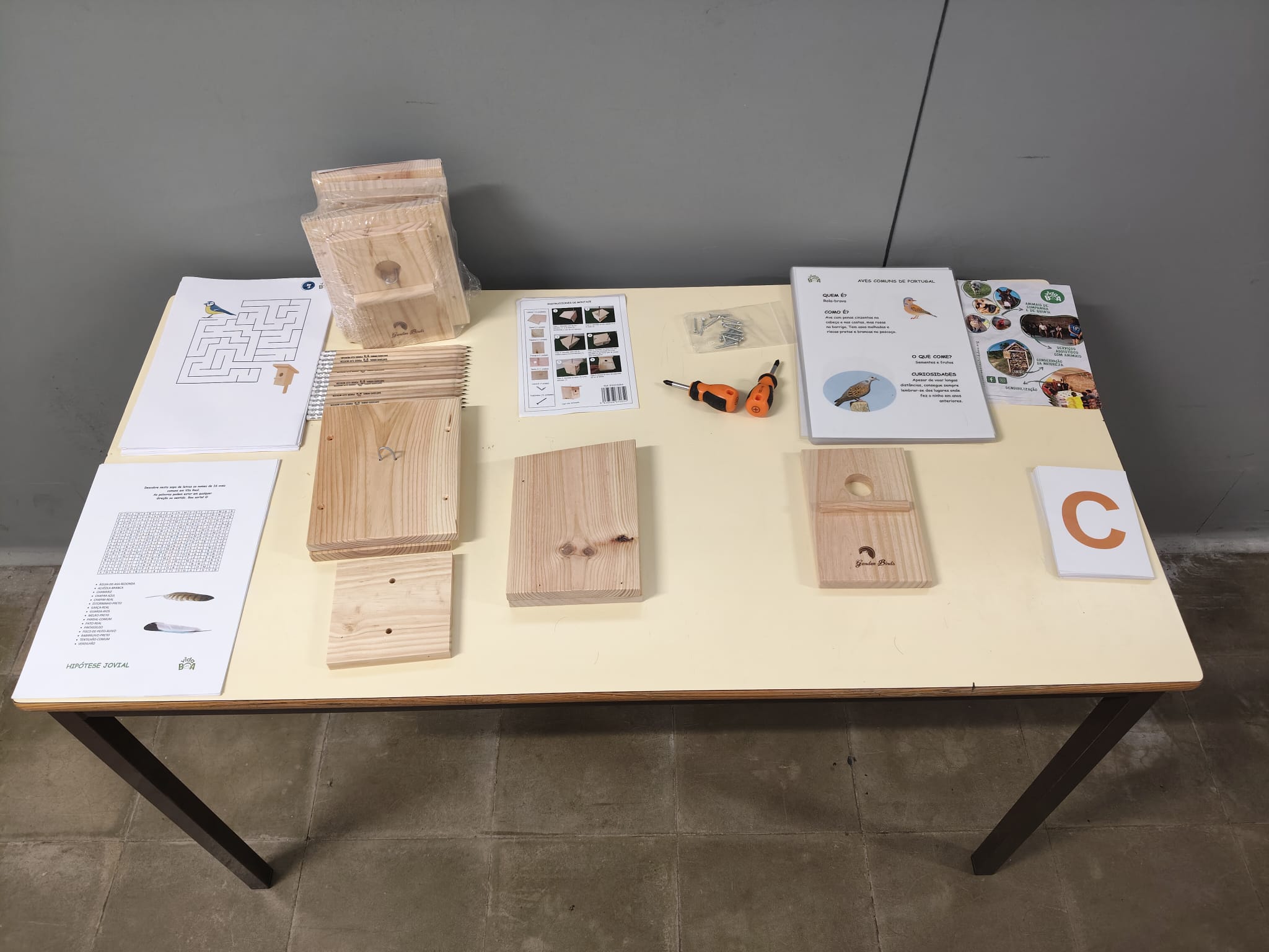 WhatsApp Image 2026-02-06 at 13.16.51