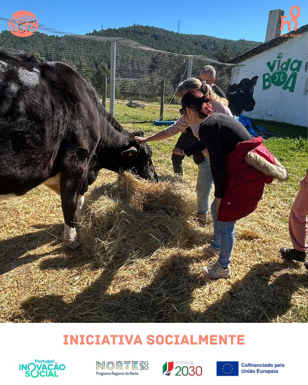 WhatsApp Image 2026-04-07 at 18.08.24