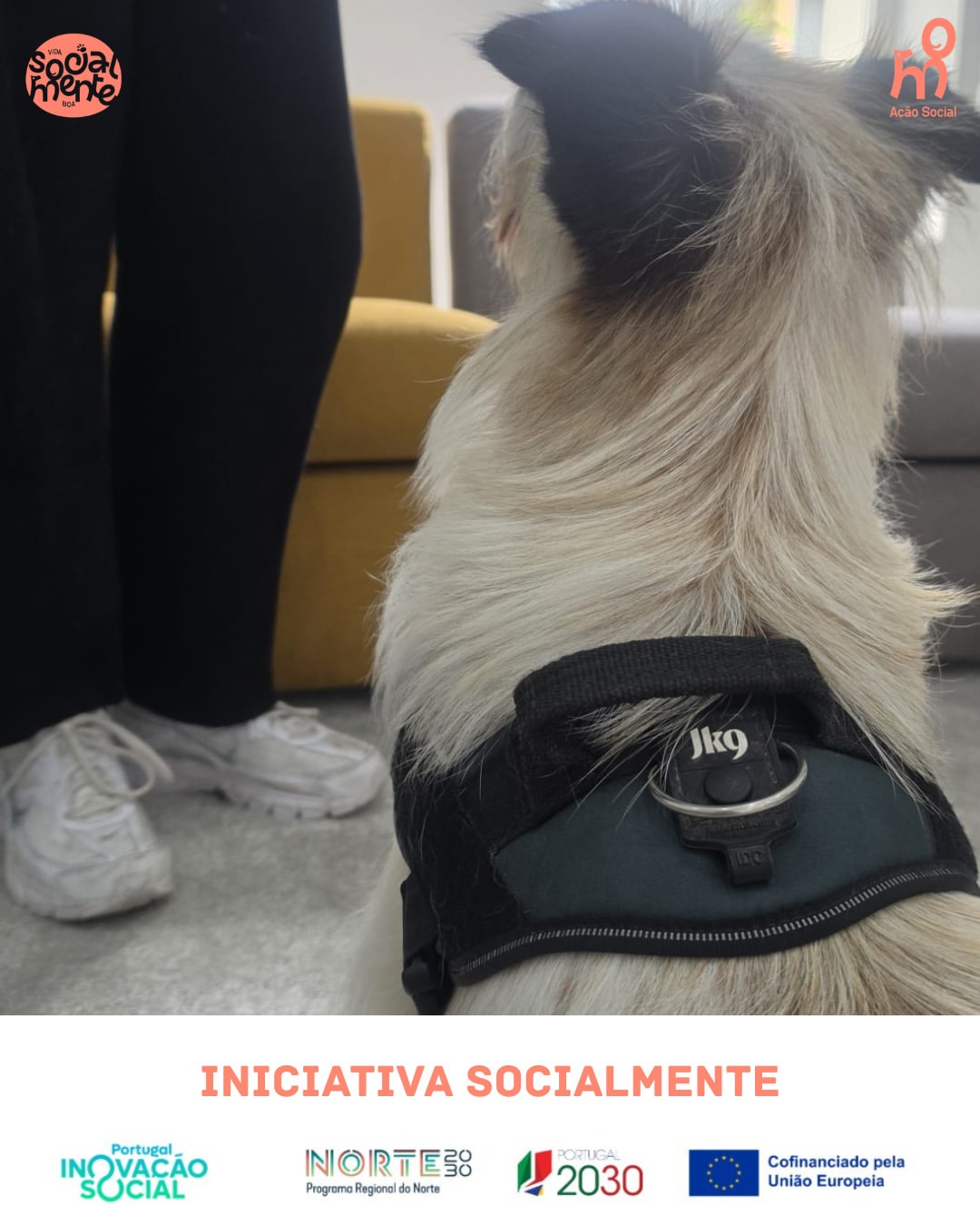 A Perturbação de Oposição e Desafio (POD) manifesta-se, frequentemente, através de uma rigidez c