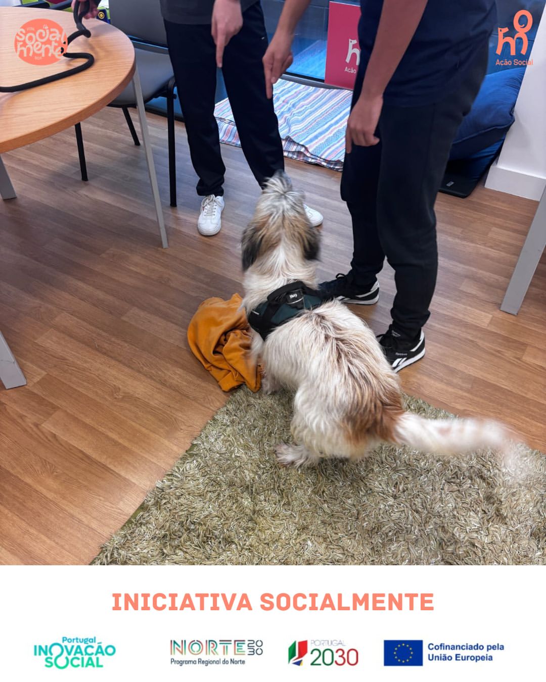 Para alguns jovens, iniciar uma conversa, participar num grupo ou simplesmente sentir que perten (1)