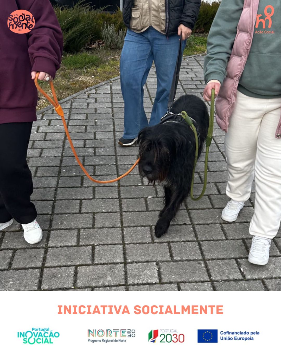 Para alguns jovens, iniciar uma conversa, participar num grupo ou simplesmente sentir que perten