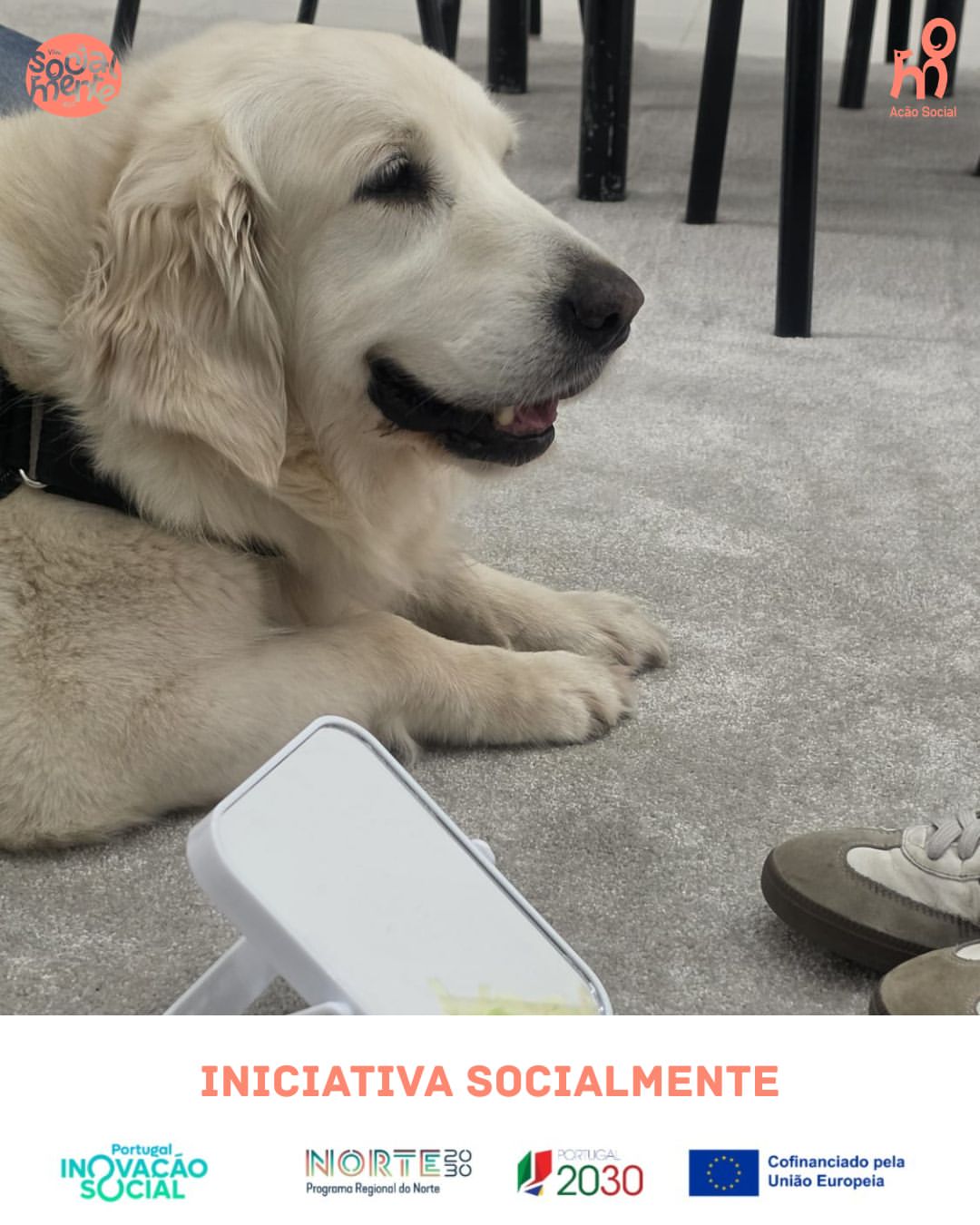 Reconhecer-se para se valorizar.Nesta sessão do SocialMente, trabalhamos a autoestima com uma jo